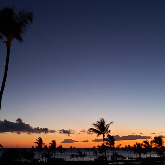 Meet your Posher, MaryAnn - Picture 1 of 1